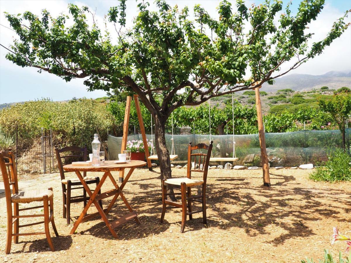 Traditional Cretan Villa Rodhopos Екстериор снимка