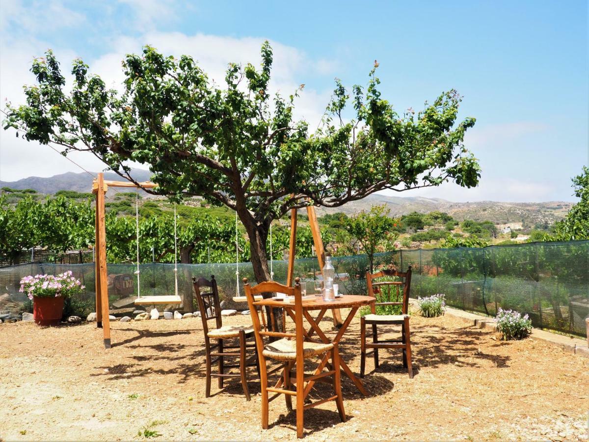 Traditional Cretan Villa Rodhopos Екстериор снимка